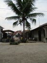 Traditional fishing settlements for the salted fish and shrimp paste industry in the Subang Regency West Java