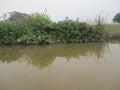 Traditional fishing settlements for the salted fish and shrimp paste industry in the Subang Regency West Java