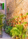 Spain Majorca, typical flowers pots on rustic house wall in Valldemossa village Royalty Free Stock Photo