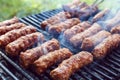 Traditional food Meat Balls Royalty Free Stock Photo