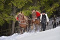 Traditional Forest workers in winter time dragging wood with horses