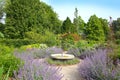 Traditional formal public garden, in bloom with lavender plants in the summer, located near Kvaerndrup, Funen, Denmark.