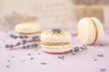 Traditional french eco-friendly dessert Macarons.