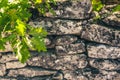 Traditional French masonry fencing - stone wall in Provence in the south of France