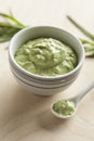 Traditional French tarragon mustard