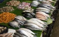 Traditional fresh fish market photo taken in Indonesia Royalty Free Stock Photo