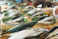 Traditional fresh fish market in Puger Jember Royalty Free Stock Photo