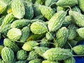 Traditional fresh green bitter gourd or bitter melon herb in market. Healthy vegetable food Royalty Free Stock Photo