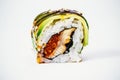 Traditional fresh japanese sushi rolls Royalty Free Stock Photo