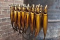 Traditional fresh smoked mackerels hanging on a stack