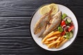 Traditional fried Sarpa salpa fish with lemon and side dish of fresh vegetable salad. french fries close-up on a plate. horizontal Royalty Free Stock Photo