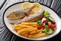 Traditional fried Sarpa salpa fish with lemon and side dish of fresh vegetable salad. french fries close-up on a plate. horizontal Royalty Free Stock Photo