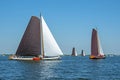 Traditional Frisian wooden sailing ships in a yearly competition Royalty Free Stock Photo