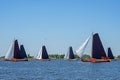 Traditional Frisian wooden sailing ships in a yearly competition Royalty Free Stock Photo