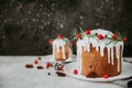 Traditional fruitcake for Christmas decorated with powdered sugar