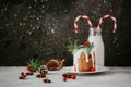 Traditional fruitcake for Christmas decorated with powdered sugar