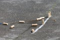 Traditional games of the indigenous people of Siberia. Shoot down the buckles with a whip one at a time. Downed bumps on the Royalty Free Stock Photo