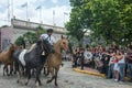 Traditional Gauchos Feast spanish - Fiesta de la Tradicion in