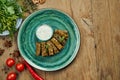 Traditional Georgian dolma - rice with minced meat in grape leaves on a blue plate with yogurt sauce. Wood background. Top view. Royalty Free Stock Photo