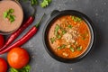 Traditional Georgian soup Kharcho with meat and rice on dark stone background