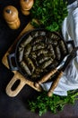 Traditional georgian tolma dish Royalty Free Stock Photo