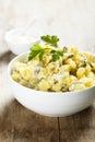 Traditional German potato salad with gherkins Royalty Free Stock Photo