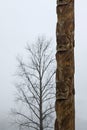Traditional Gitxsan totem poles with lone tree behind