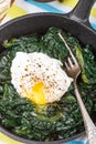 Traditional Gourmet Breakfast. Spinach, Kale and poached egg wit Royalty Free Stock Photo