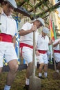 Traditional grape stomp in Sherry Royalty Free Stock Photo