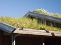 Traditional grass roof Royalty Free Stock Photo