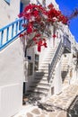 traditional Greece. Mykonos island. Charming colorful floral streets