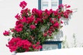 Traditional Greece white and blue house with flowers