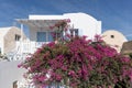 Traditional greek architecture and pink flowers in the town of Oia Royalty Free Stock Photo