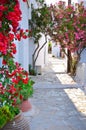 Traditional greek backstreet in Cyclades Islands, Royalty Free Stock Photo