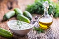 Traditional greek dip sauce or dressing tzatziki prepared with grated cucumber sour cream yogurt olive oil and fresh dill.