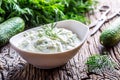 Traditional greek dip sauce or dressing tzatziki prepared with grated cucumber sour cream yogurt olive oil and fresh dill.