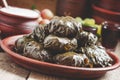 Traditional Greek dolma with meat in grape leaves, yogurt sauce, grapes and red wine on a clay dish, selective focus Royalty Free Stock Photo