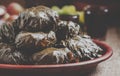 Traditional Greek dolma with meat in grape leaves, yogurt sauce, grapes and red wine on a clay dish, selective focus and toned Royalty Free Stock Photo