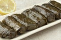 Traditional greek dolmades Royalty Free Stock Photo