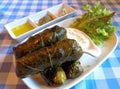 Traditional Greek Dolmades, Grape Leaves Stuffed with Rice and Herbs with Yogurt Dip Royalty Free Stock Photo