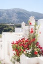 Traditional Greek door on Mykonos island Royalty Free Stock Photo