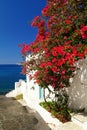 Traditional greek door on Sifnos island Royalty Free Stock Photo