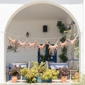 Traditional Greek food octopus drying in the sun. Royalty Free Stock Photo