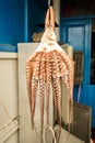 Traditional greek food Octopus drying in the sun Royalty Free Stock Photo