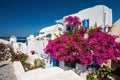 Traditional greek house with a big bougainvillea flowers Royalty Free Stock Photo