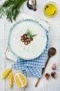 Traditional Greek sauce Tzatziki. Yogurt, cucumber, dill, garlic and salt oil in a ceramic bowl on a light wooden background. Royalty Free Stock Photo