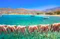 Traditional greek sea food, octopus, drying in the sun, Milopotas, Ios island, Cyclades, Greece Royalty Free Stock Photo