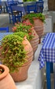 Traditional greek taverna Royalty Free Stock Photo