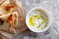 Traditional Greek Tzatziki dip sauce made with cucumber sour cream, Greek yogurt, lemon juice, olive oil and a fresh