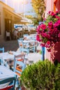 Traditional Greek vivid colored tavern with purple flowers on the narrow Mediterranean street on hot summer day Royalty Free Stock Photo